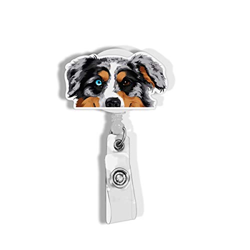 Merle Aussie Australian Shepherd Dog