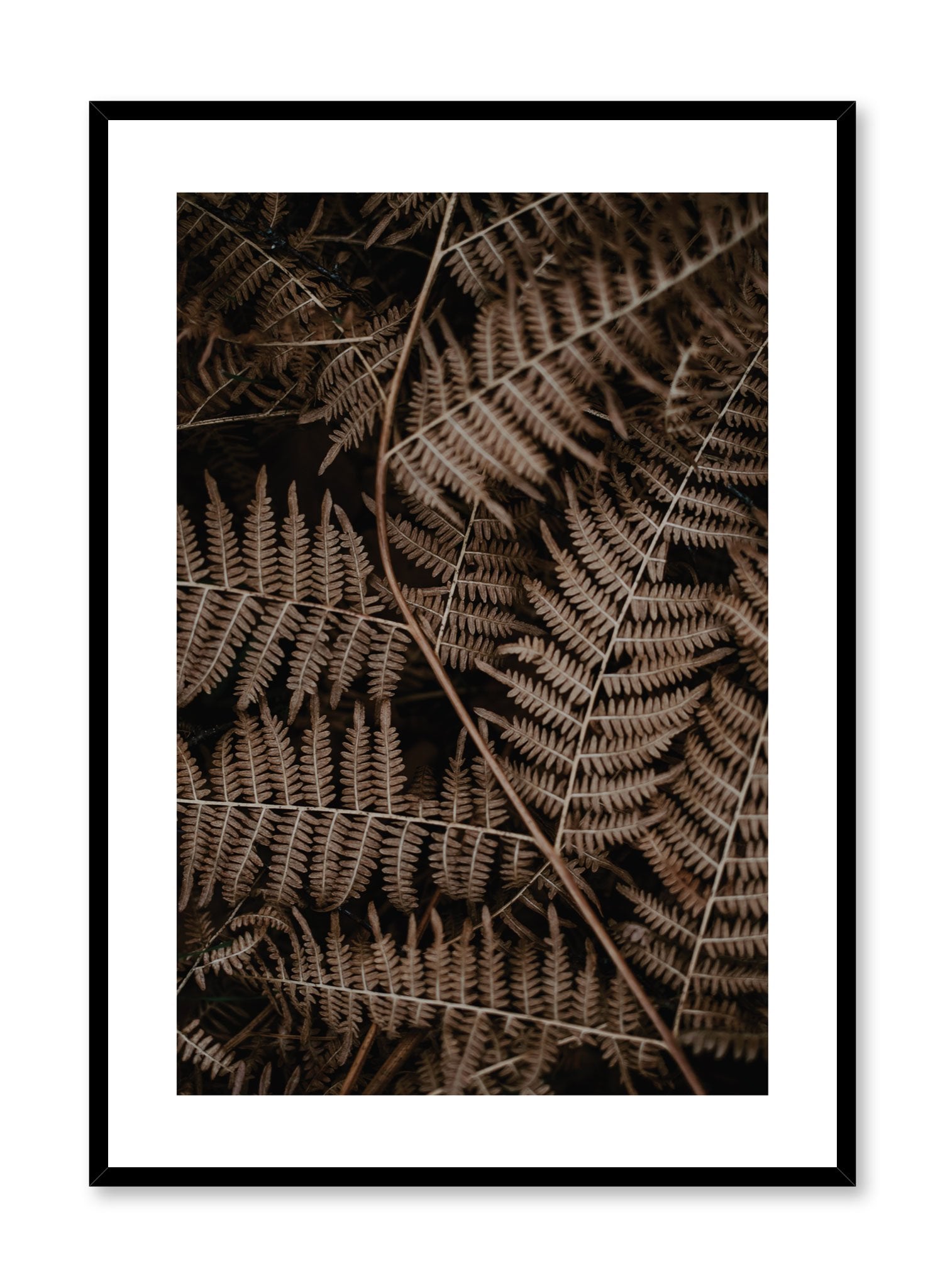 Fern Poster - Botanical Wall Art Print for Home & Office Decor - Perfect for Living Room, Bedroom, or Office Space