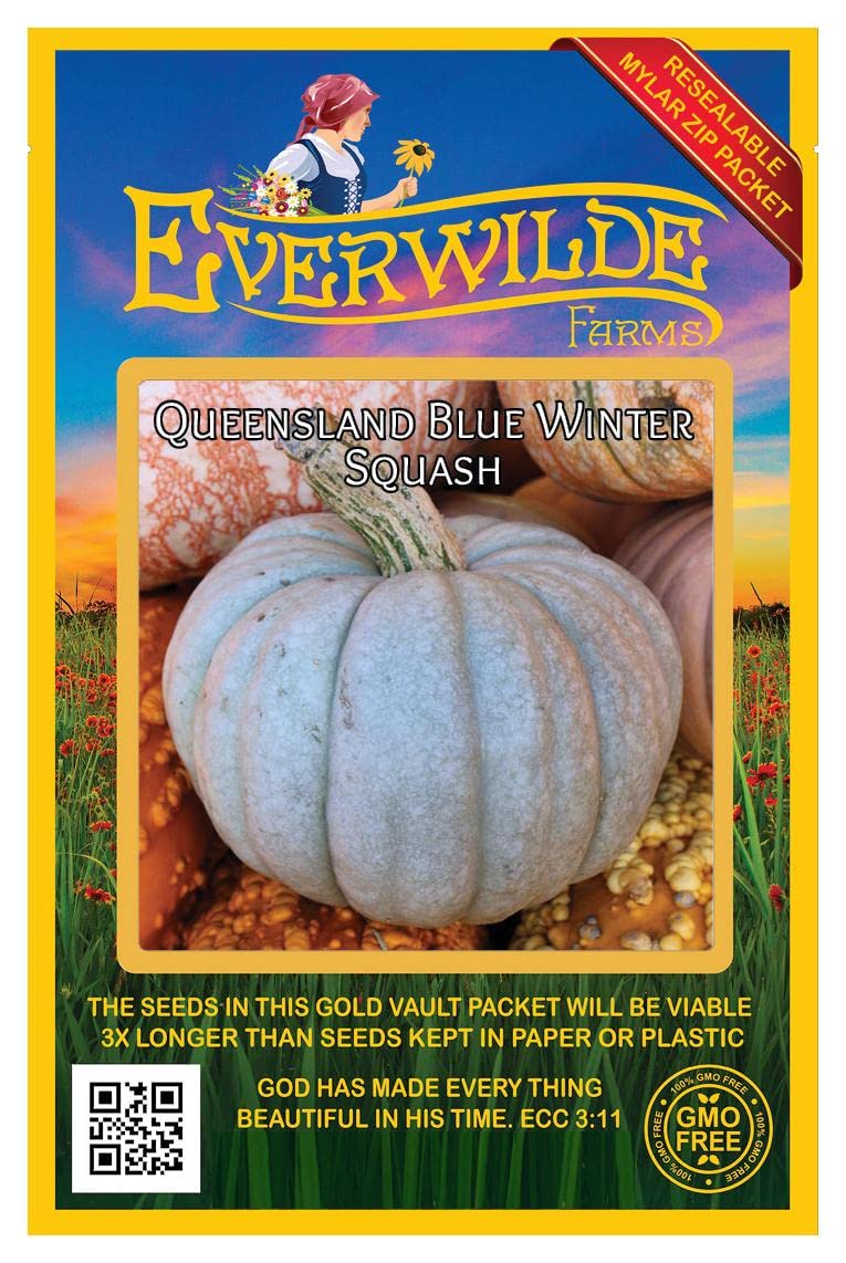Everwilde Farms - 20 Queensland Blue Winter Squash Seeds - Gold Vault Jumbo Seed Packet - Non-GMO Heirloom Pumpkin Seeds for Fall Gardening & Thanksgiving Decor