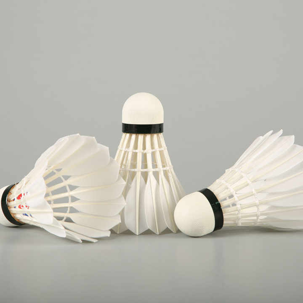 LingMei 90 Badminton Shuttlecocks - Professional Feather Shuttlecocks for Indoor/Outdoor Sports, Training & Tournament Play