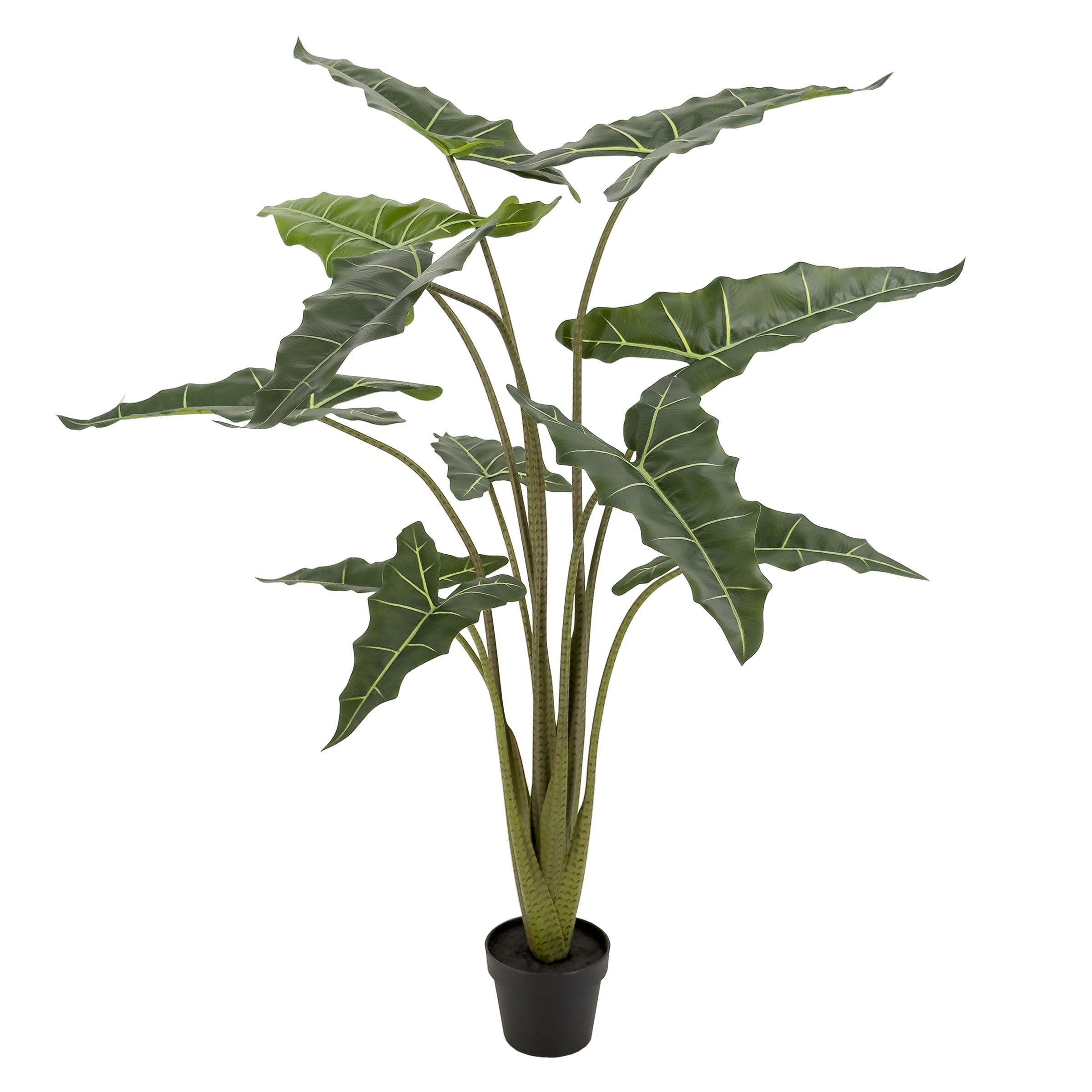 Large Artificial Alocasia Plant (Elephant Ears) - 55