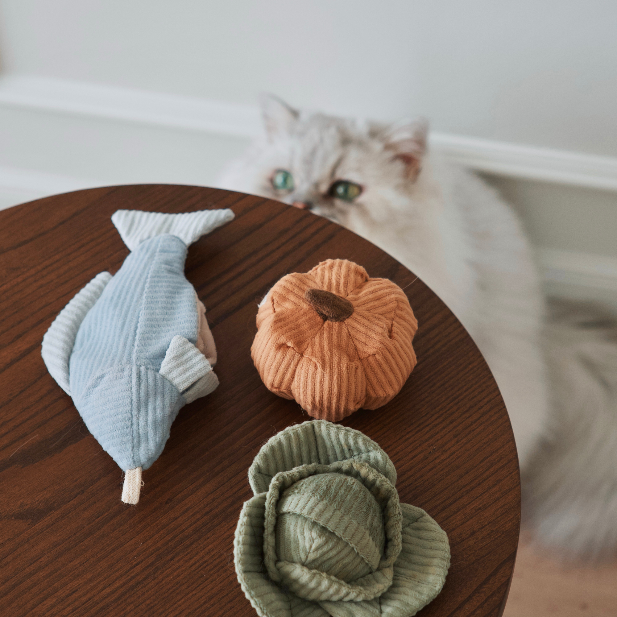 Kitty Trout Cat Toy - Interactive Fishing Rod Toy for Cats with Feather & Bell - Perfect for Indoor Play, Exercise & Bonding with Your Kitten