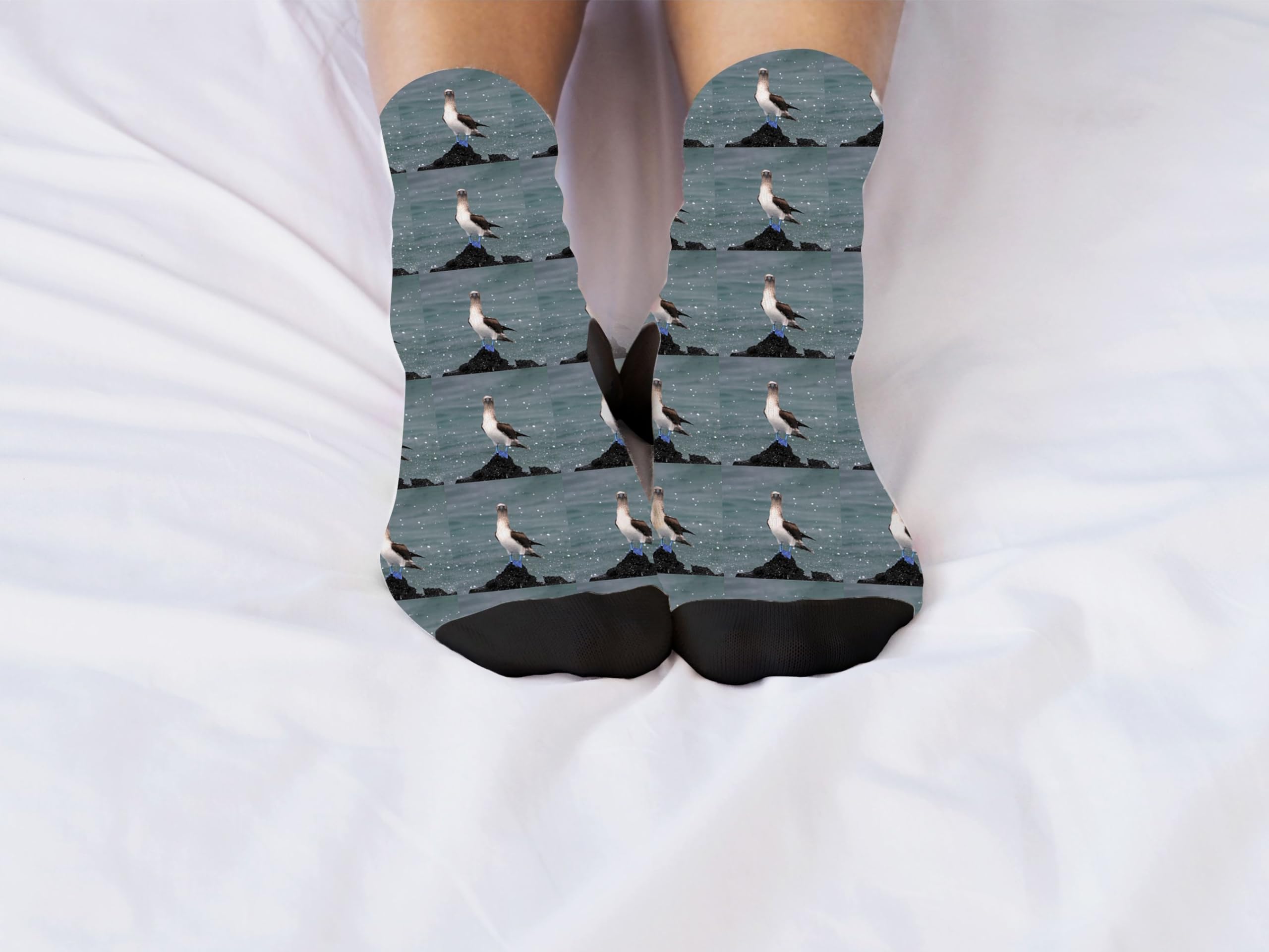 Blue Footed Booby Socks - Fun Galapagos Islands Novelty Socks with Sula Nebouxii Design | Perfect for Bird Lovers, Travel Enthusiasts & Unique Gift Ideas