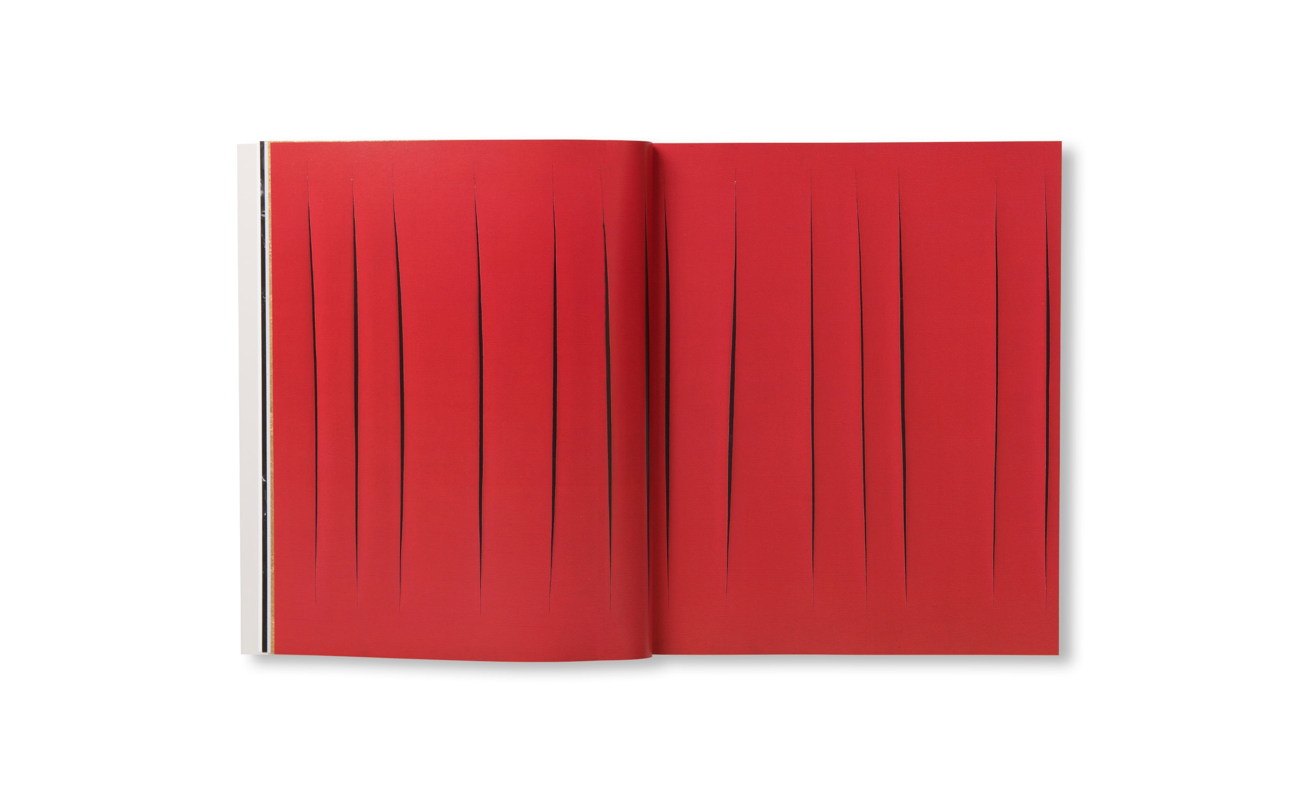 Monochrome Art Book: Dialogue Between Burri, Fontana, Klein, Manzoni & Stingel | Modern Abstract Art Collection | Perfect for Art Lovers, Collectors & Home Decor