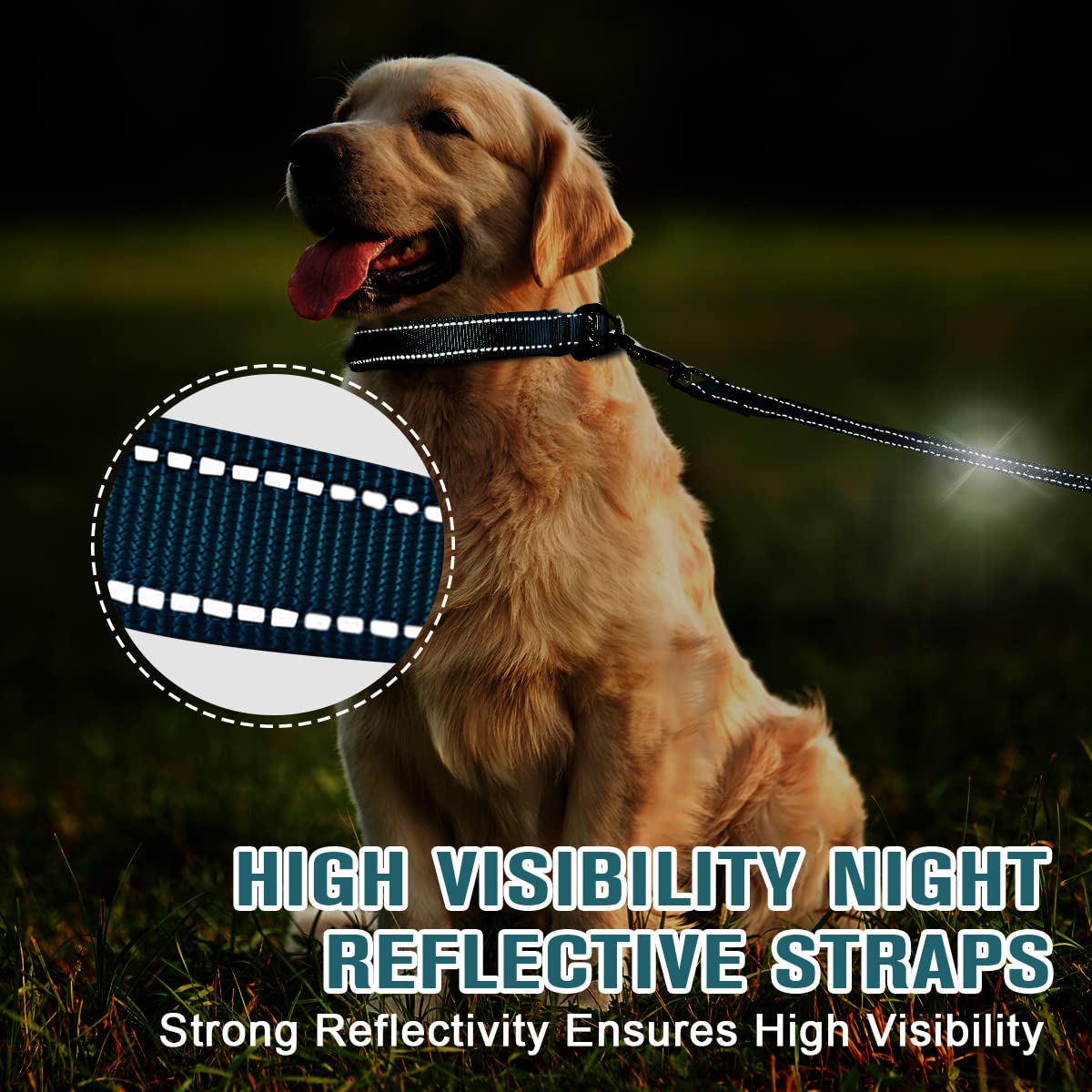 Reflective Dog Collar and Leash Set - Soft Neoprene Padded 2-Pack for Small, Medium & Large Dogs (Blue, Small) | Perfect for Night Walks, Training & Outdoor Adventures