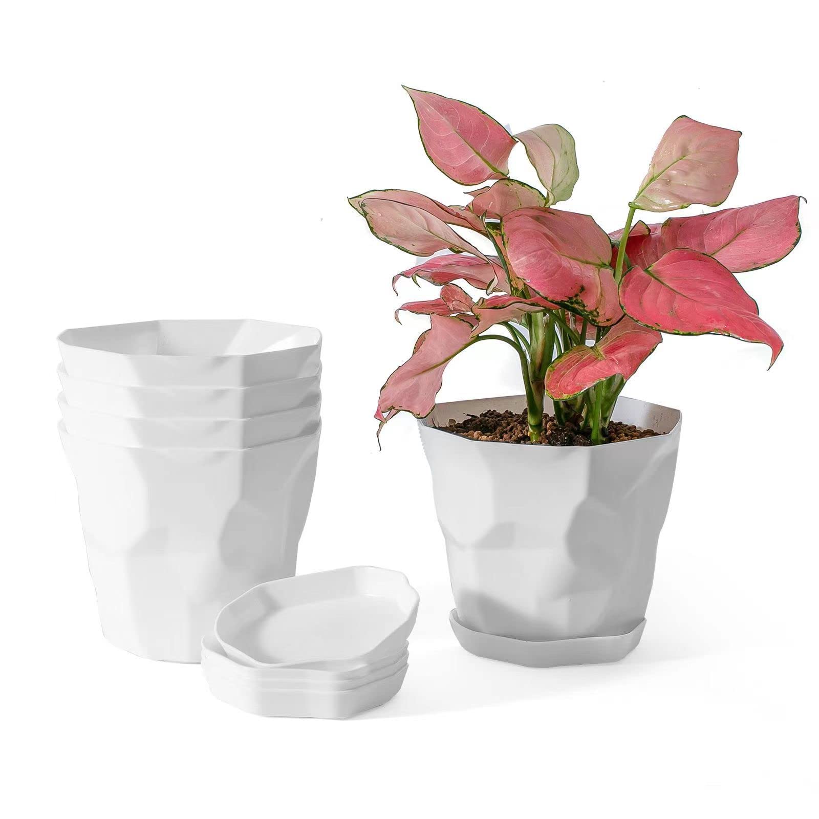 8 Inch Self Watering Plant Pots Indoor - Set of 5 Plastic Flower Planters with Drainage Holes & Saucers, Heavy Duty Decorative Garden Pots for Indoor Outdoor Plants, Herbs, Succulents, Flowers - Perfect for Home, Office, Balcony & Patio Decor