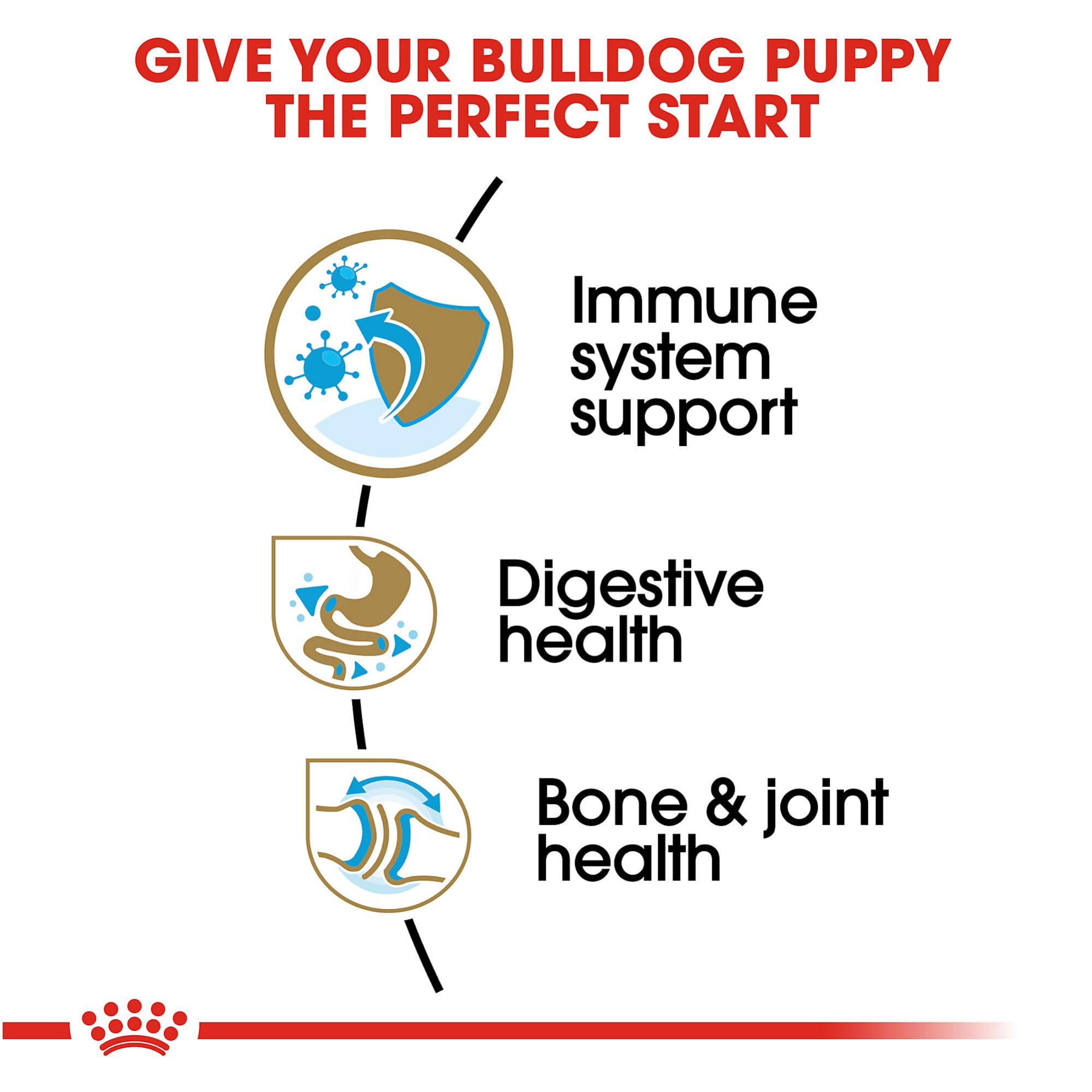 Royal Canin Bulldog Puppy Dry Dog Food - 30 lb Bag for English & French Bulldog Puppies - High Protein Kibble for Healthy Growth & Digestion - Perfect for Training & Daily Feeding