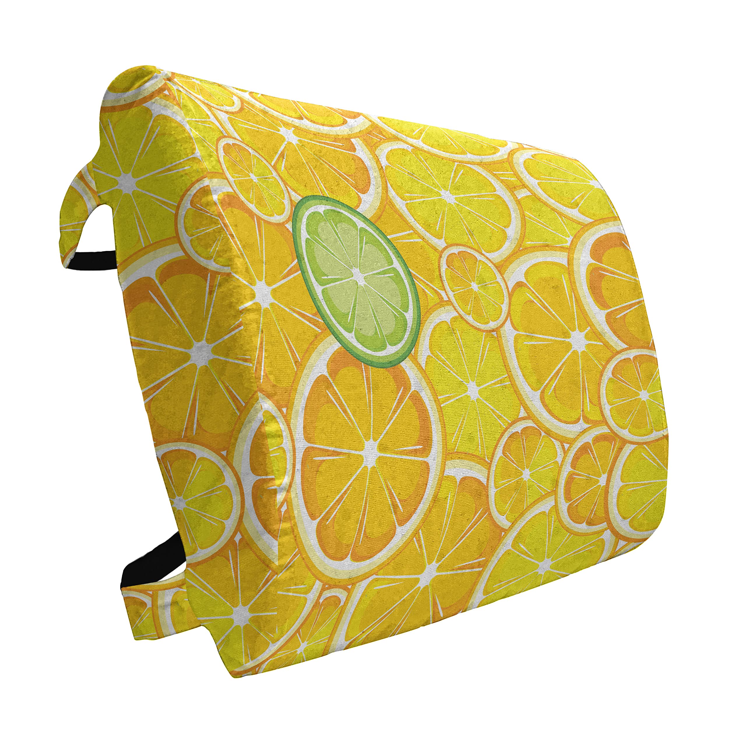 Ambesonne Lumbar Support Pillow for Office Chair & Car Seat - 14