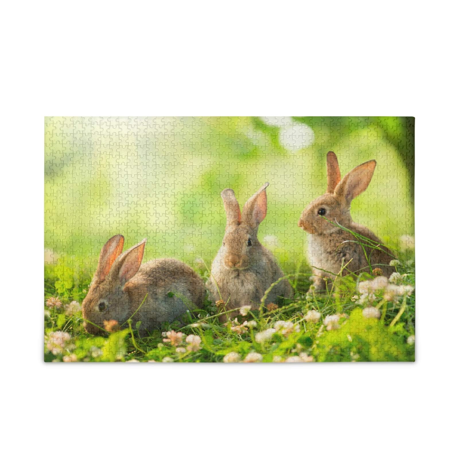 500 Piece Rabbit Jigsaw Puzzle for Adults & Kids - Cute Bunny Forest Animal Puzzle Game, Fun Family Activity & Educational Toy for Relaxation, Parties & Classroom Learning