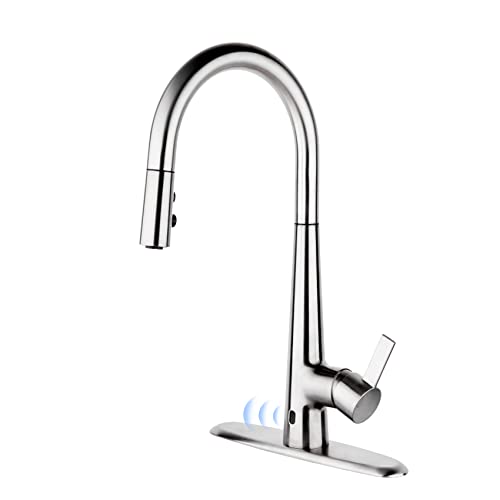 Stainless
