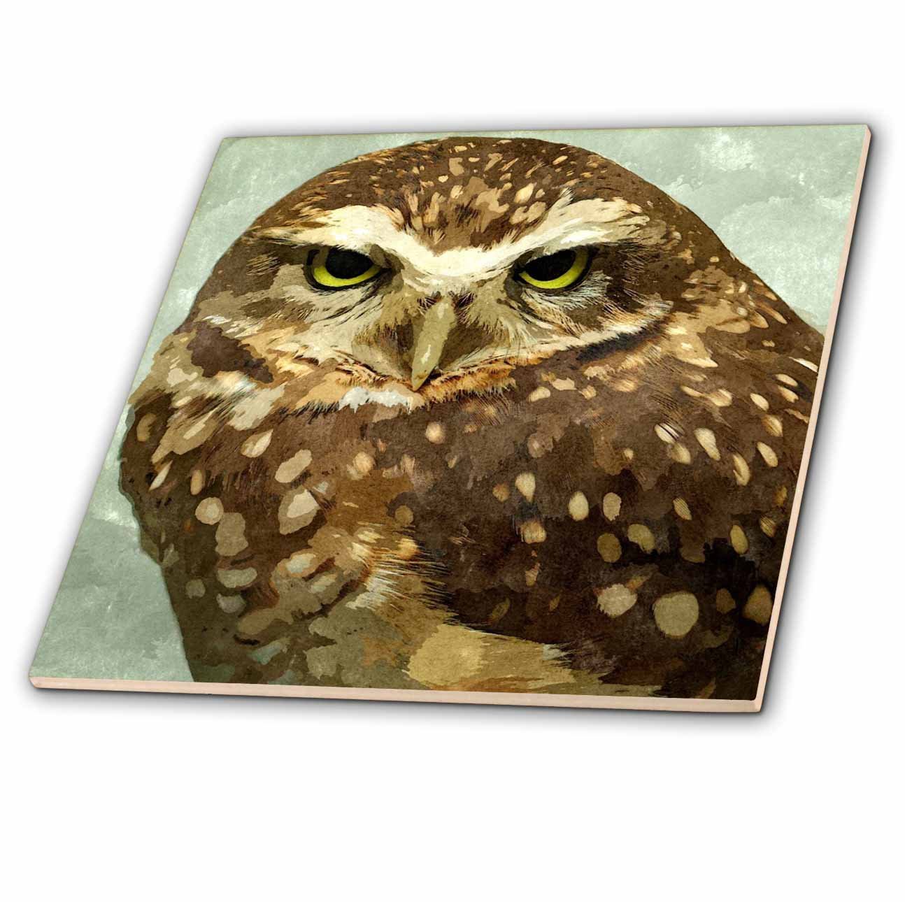 3dRose Owl Watercolor Ceramic Tile - 12 Inch Hand-Painted Decorative Wall Art for Kitchen, Bathroom & Home Decor | Perfect for Backsplash, Coasters & Gift Ideas