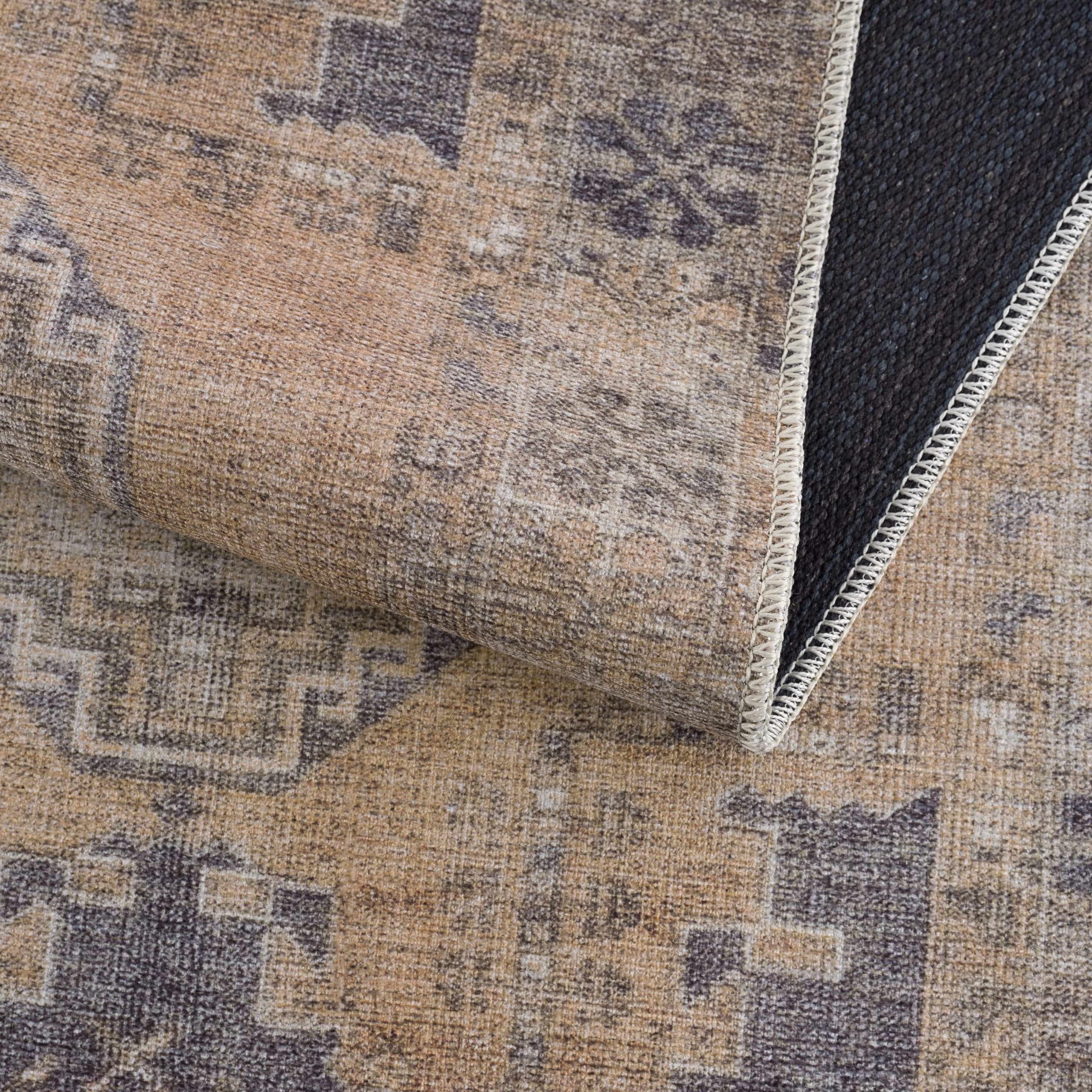 Hauteloom Carrabelle Traditional Machine Washable Area Rug - Blue, Ivory, Brown - 5'3