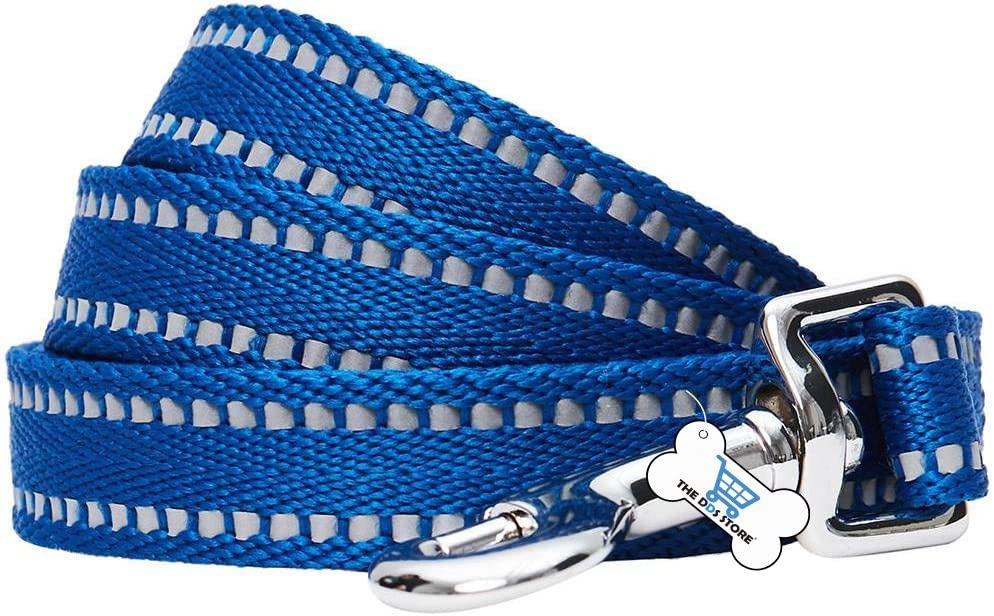 Durable 10FT Reflective Nylon Dog Leash with Metal Clasp - Heavy Duty Training Lead for Small, Medium & Large Dogs - Perfect for Night Walks, Jogging & Outdoor Adventures (Blue)