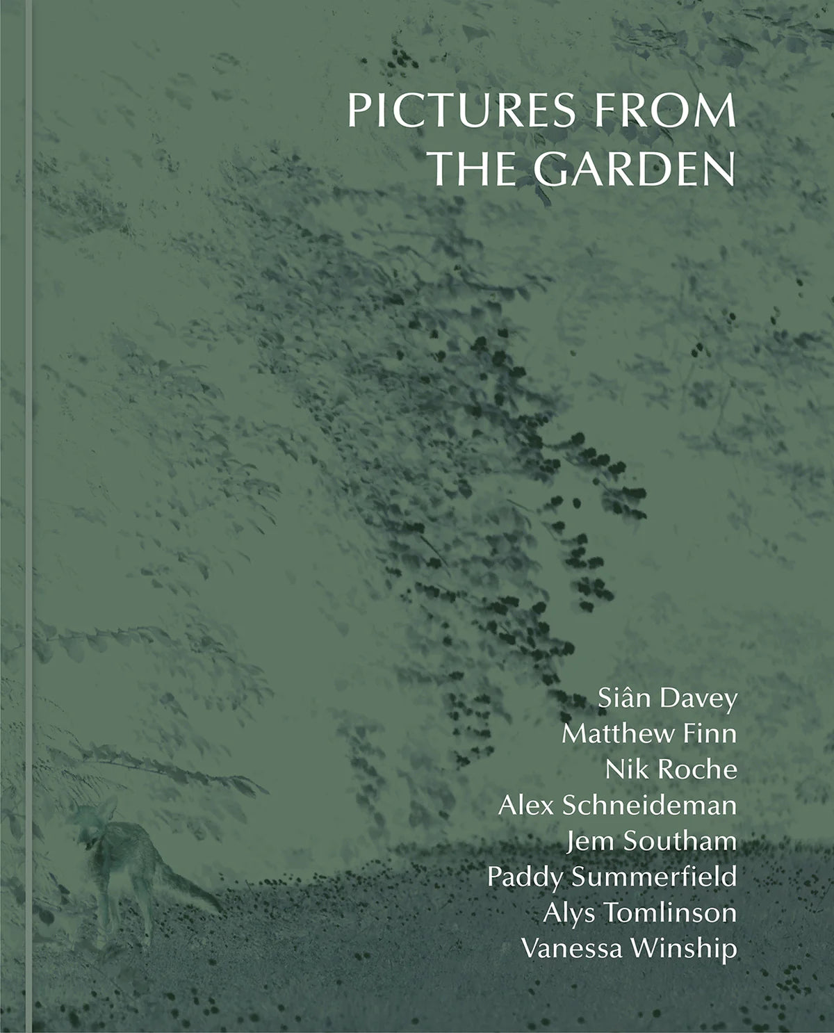 Beautiful Garden Pictures - High-Quality Floral & Nature Photography Prints for Home & Office Decor | Perfect for Wall Art, Gifts & Interior Design