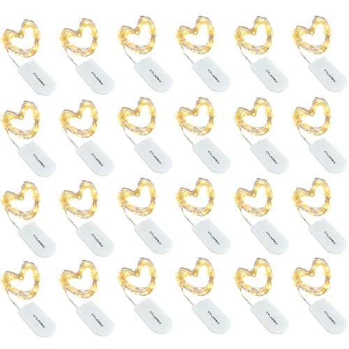 Warm White 24 Pack