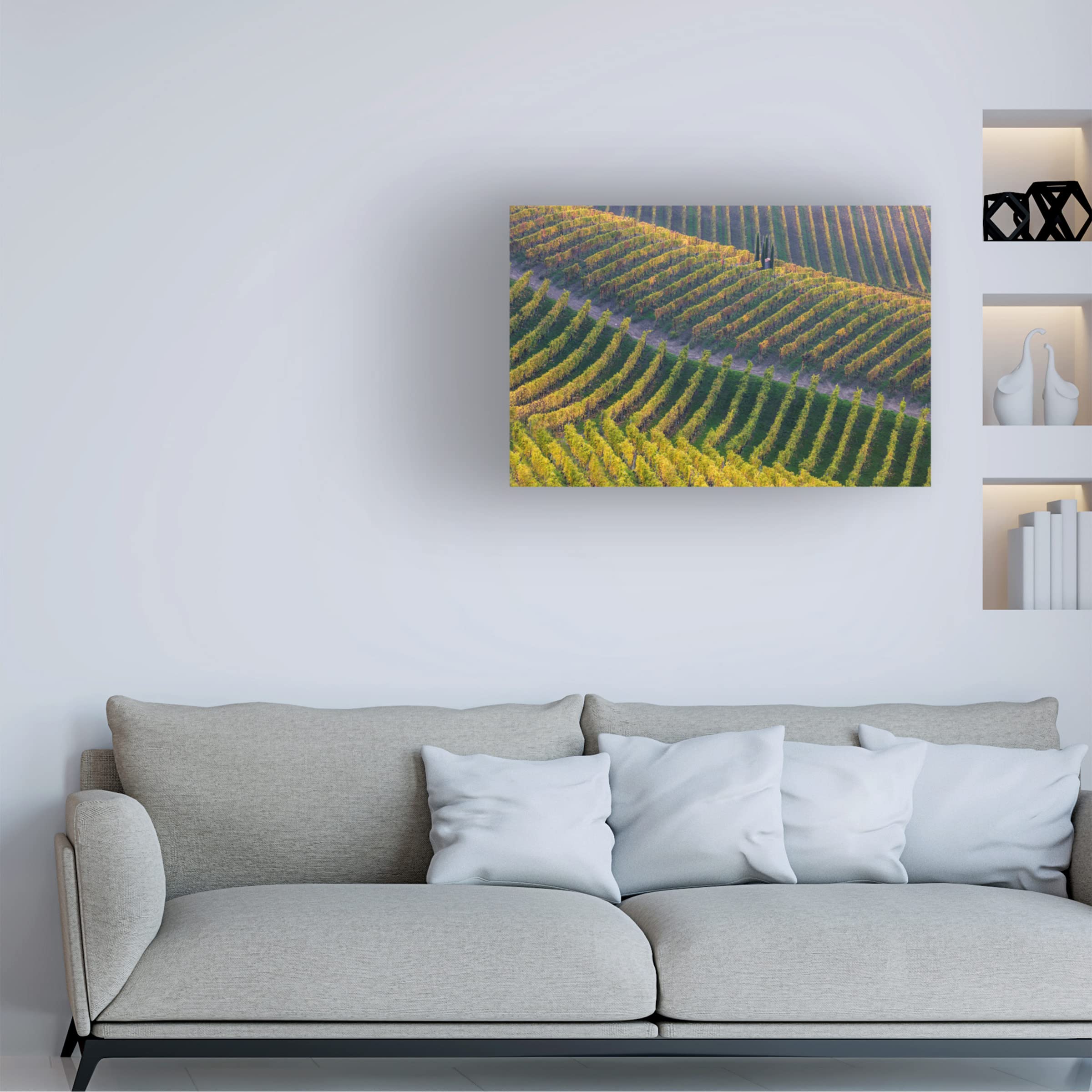 Vineyards by Fiorenzo Carozzi - Premium Canvas Wall Art for Home & Office Decor | Trademark Fine Art Collection | Perfect for Living Room, Bedroom & Dining Room