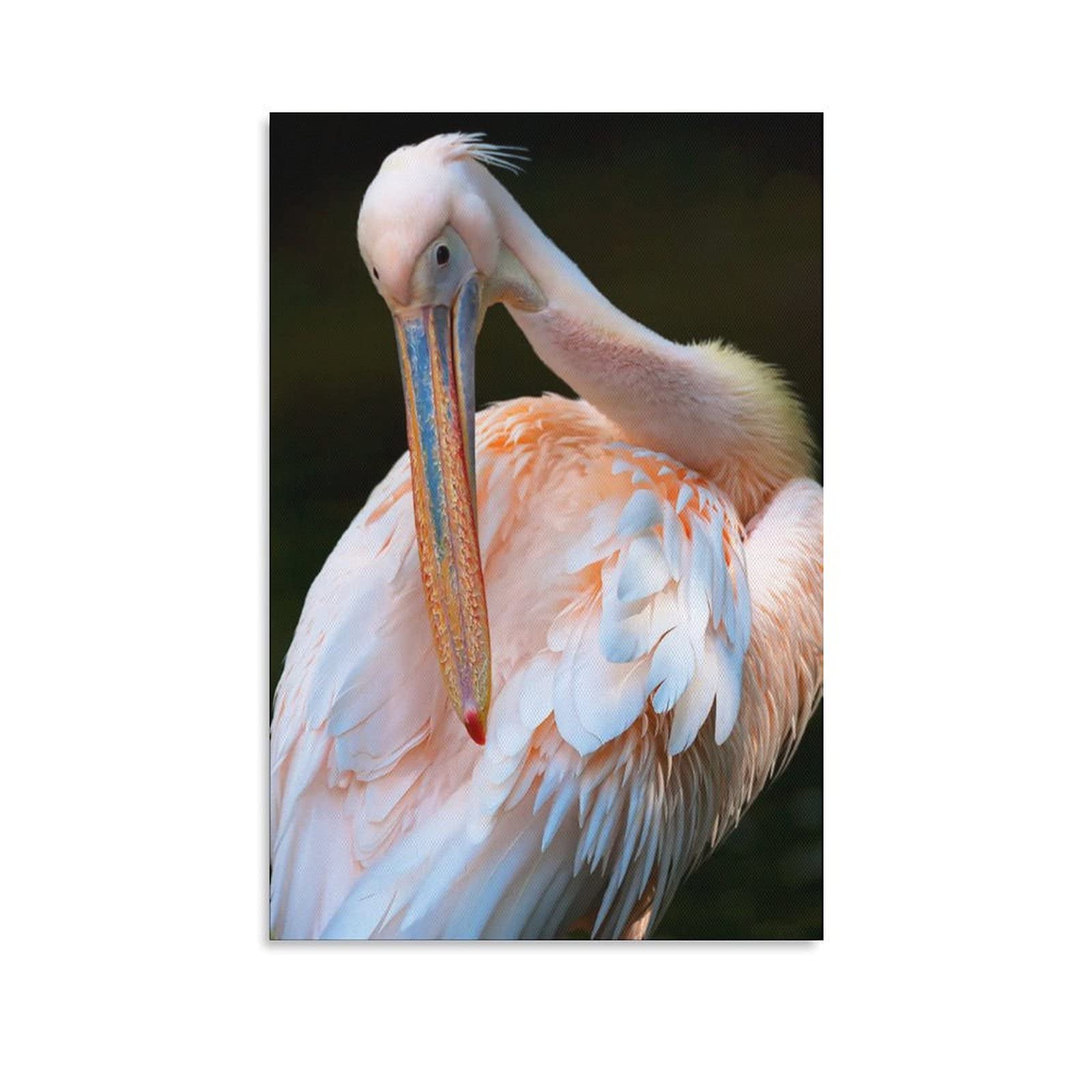 Great White Pelican Canvas Wall Art - 8x12 Inches (20x30cm) Stretched Framed Painting for Living Room, Bedroom & Office Decor | Wildlife Animal Poster | Unique Gift for Nature Lovers | Perfect for Home, Office or Dorm Decoration