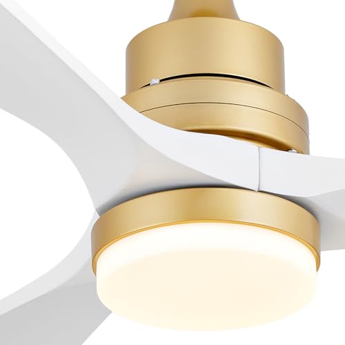 Gold White
