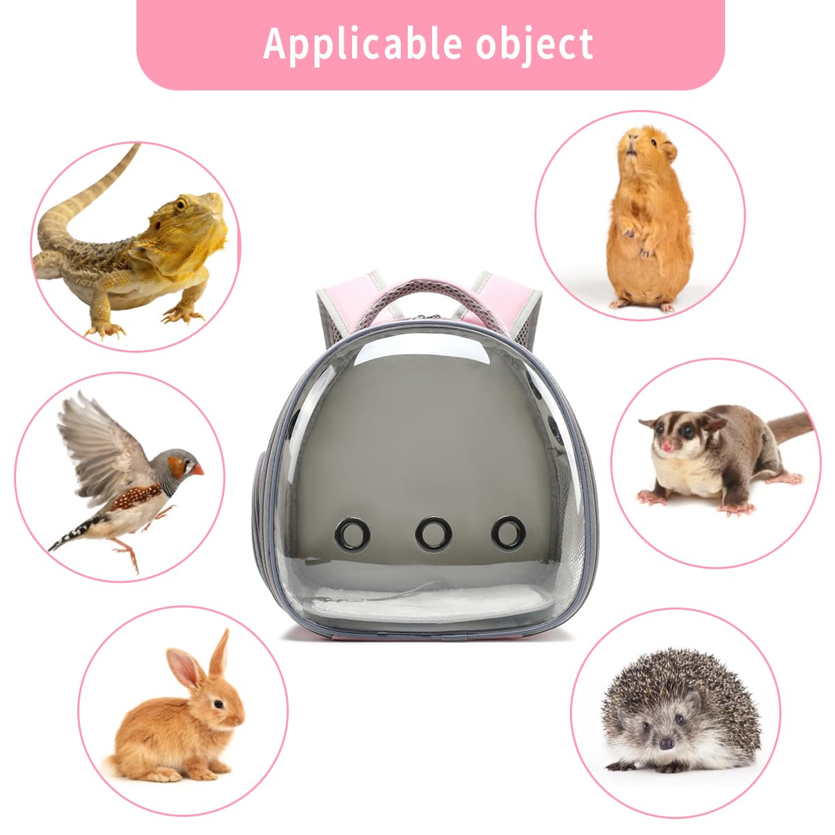 Bearded Dragon Lizard Backpack Carrier with Harness & Leash Set - Small Animal Travel Carrier with Space Capsule Bubble Window - Airline Approved Pet Backpack (Pink) - Perfect for Vet Visits, Outdoor Adventures & Air Travel