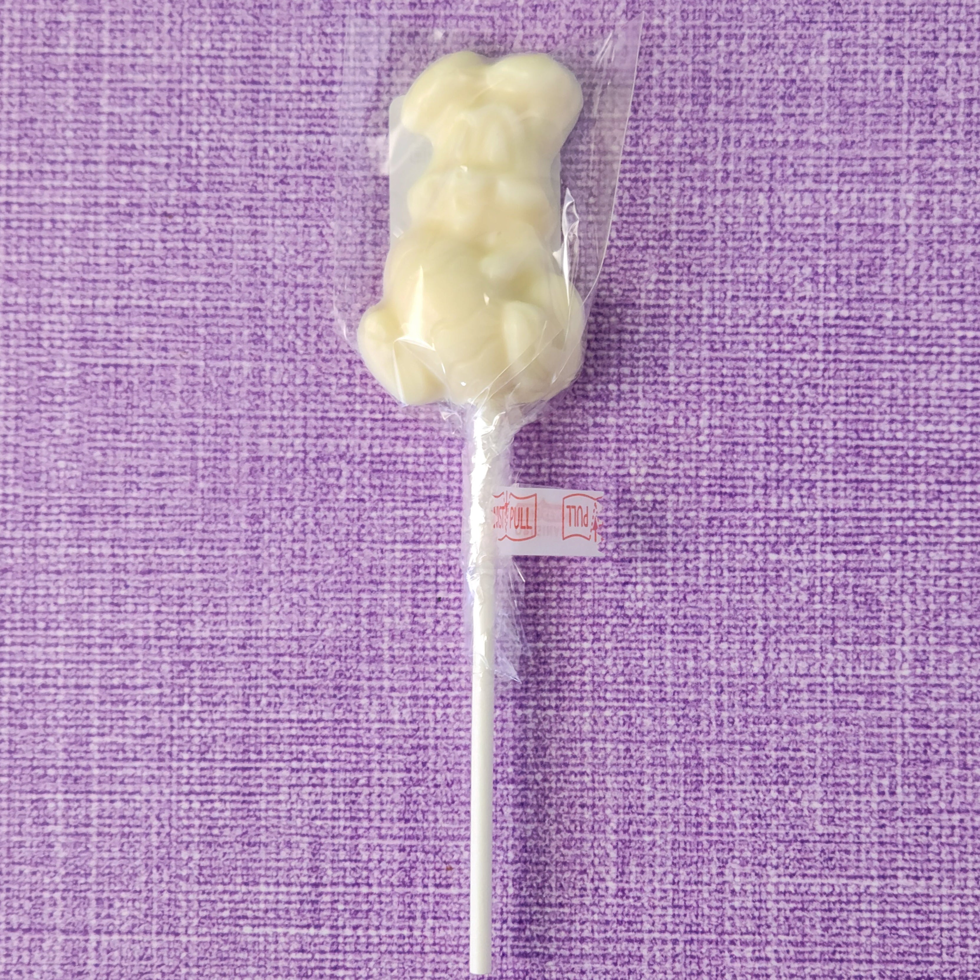 Delicious Eggcellent Bunny Chocolate Pop - Easter Treats, Holiday Gifts & Party Favors for Kids & Adults - Perfect for Easter Celebrations, Birthday Parties & Sweet Surprises