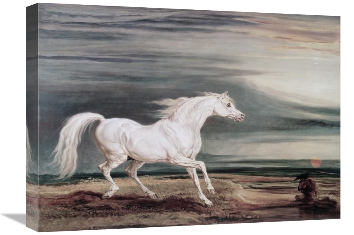 22 Inch Marengo Barb Charger Horse Art Print by James Ward - Vintage Equestrian Wall Decor for Living Room, Bedroom, or Office