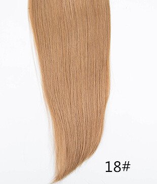 18# Dark Ash Blonde