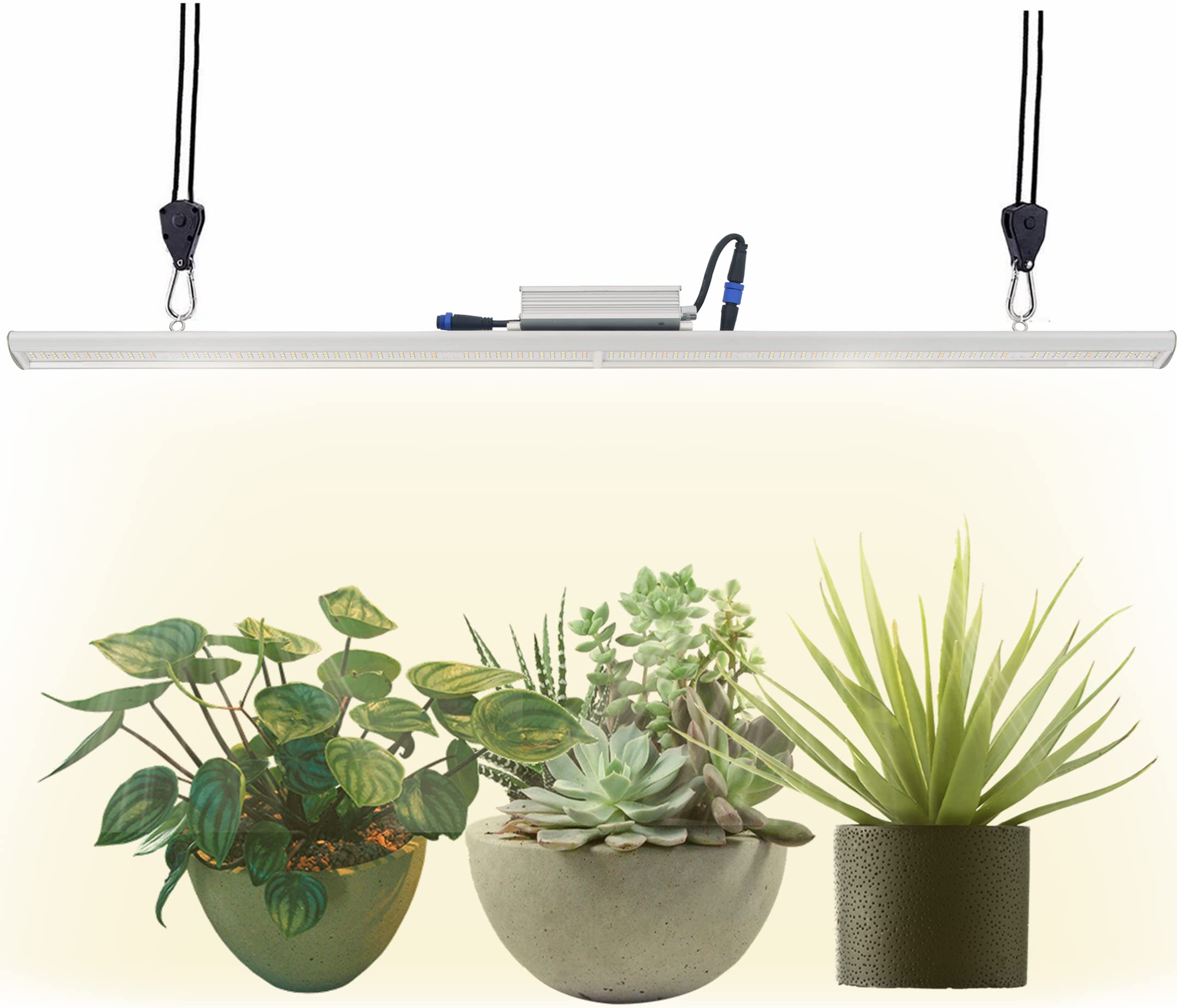 Full Spectrum LED Grow Light for Indoor Plants - 100W, 4ft, 3200K CCT, CRI 90+ High Output White Light with Dimmer & On/Off Switch - Perfect for Vegetables, Flowers, and Herbs Growth in Hydroponics, Greenhouses & Home Gardens