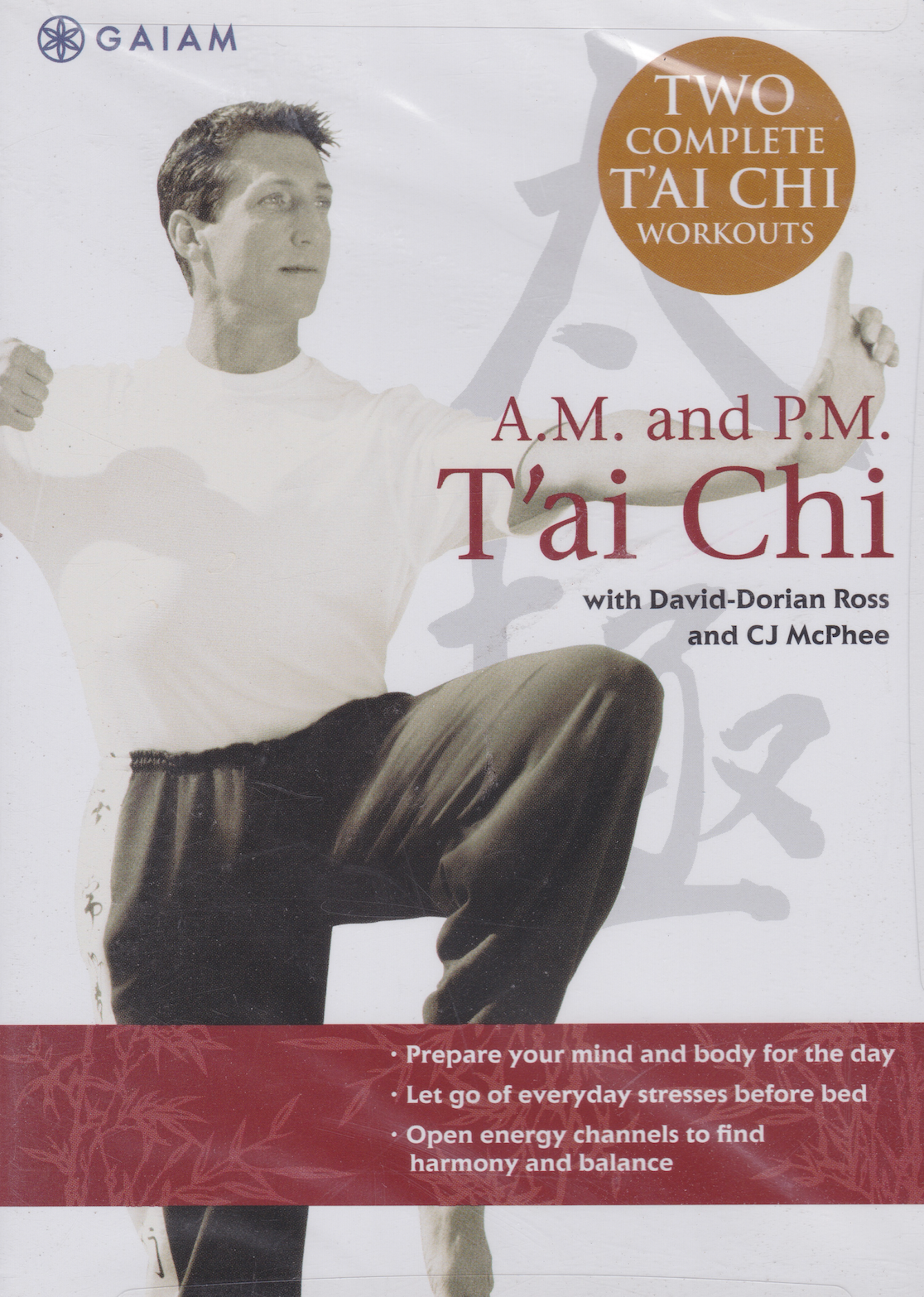 AM & PM Tai Chi DVD by David Dorian Ross - Learn Morning & Evening Tai Chi Routines for Stress Relief & Fitness at Home