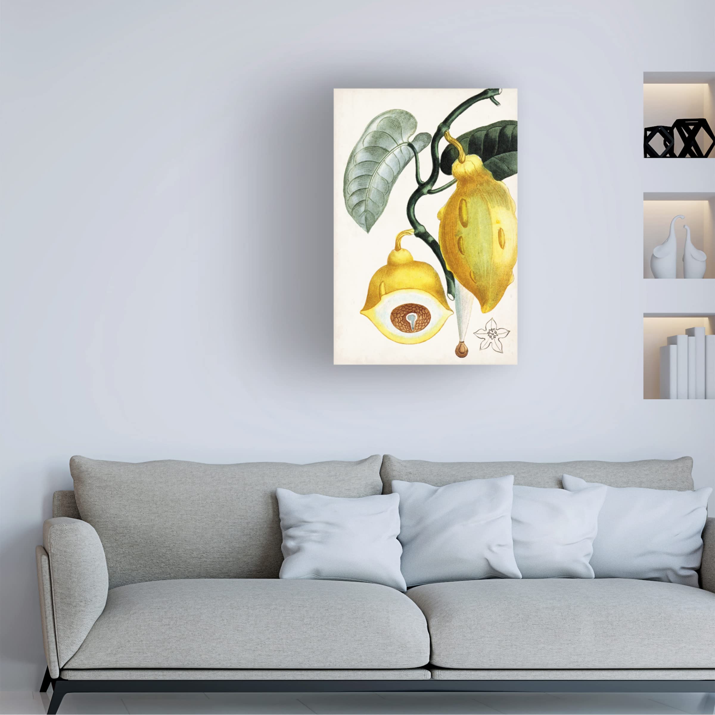 Trademark Fine Art 'Turpin Tropical Fruit IV' Canvas Wall Art Print - Vibrant Tropical Fruit Painting for Home & Office Decor, Kitchen & Dining Room Wall Decor