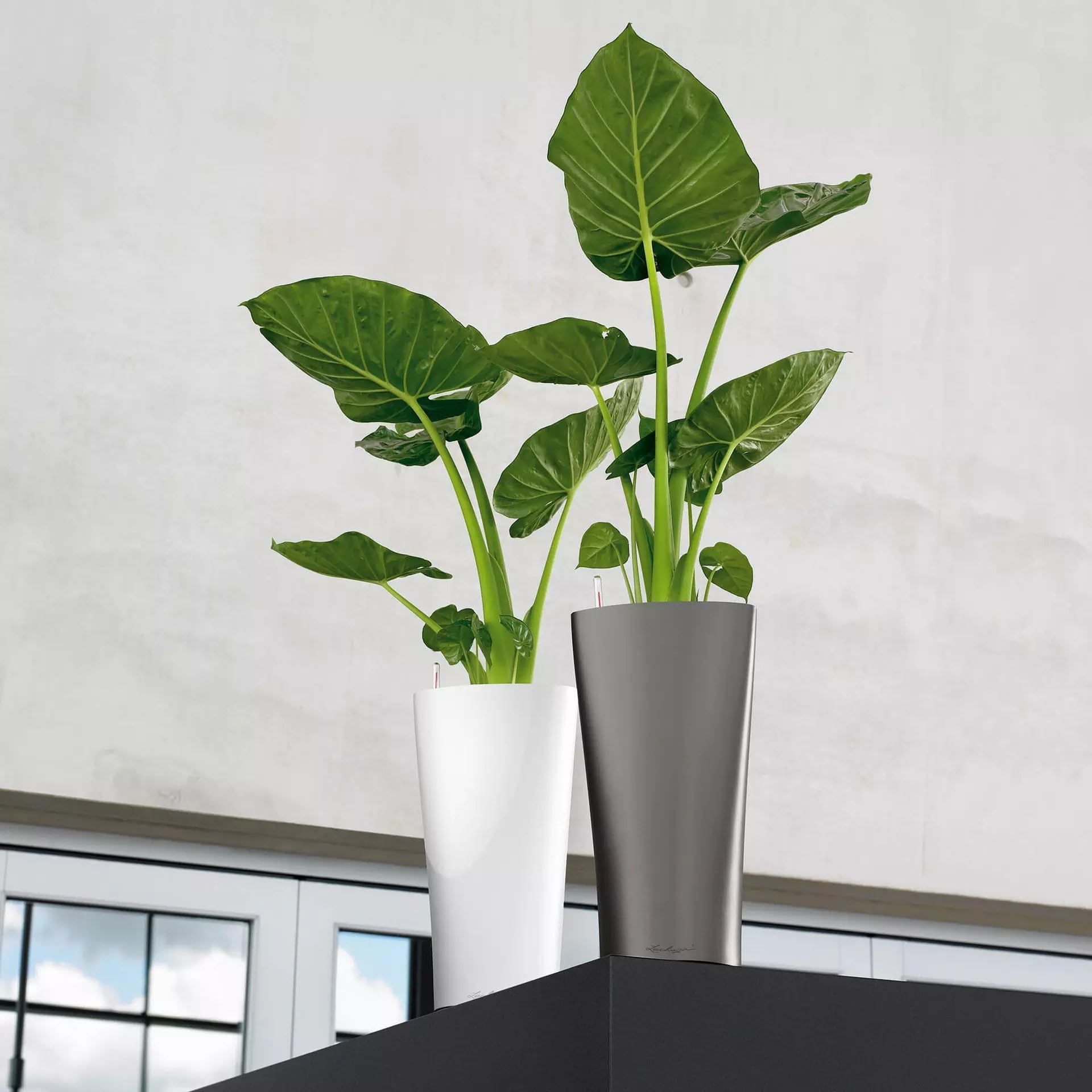 Lechuza Delta 40 Self-Watering Planter - Large Indoor/Outdoor Garden Flower Pot with Drainage Holes & Plant Substrate - 29.5 Inch (75cm) Charcoal Metallic Polyresin - Perfect for Living Room, Patio, or Office Decor