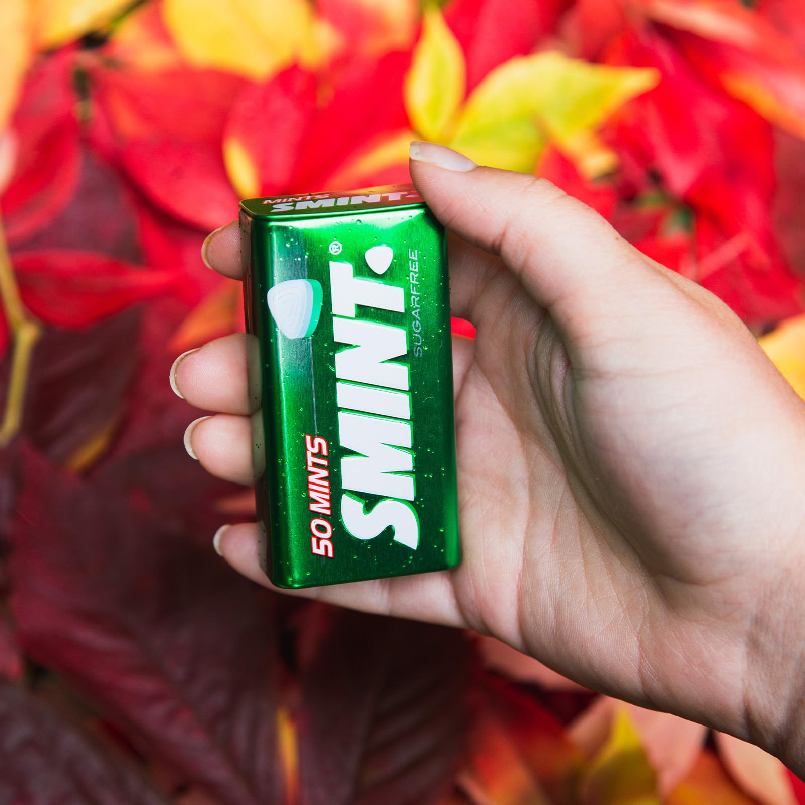 Smint Sugar Free Spearmint Mints for Fresh Breath - 12 Pack of 50 XXL Tins - Vegan, Keto Friendly - Perfect for Office, Travel & After Meals