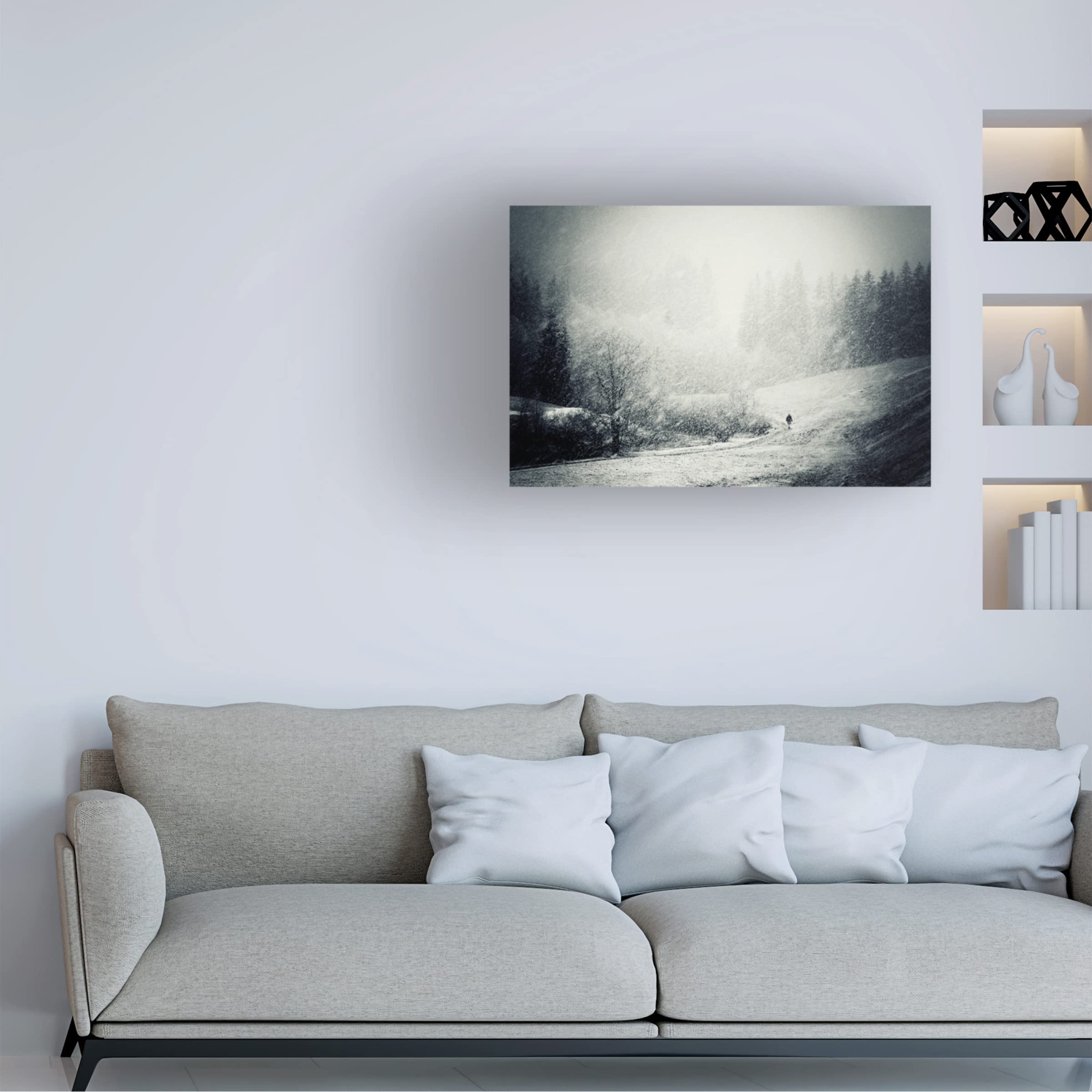 Trademark Fine Art 'Fog Snow Storm' Canvas Wall Art Print by Andre Gehrmann - Modern Landscape Painting for Living Room, Bedroom & Office Decor