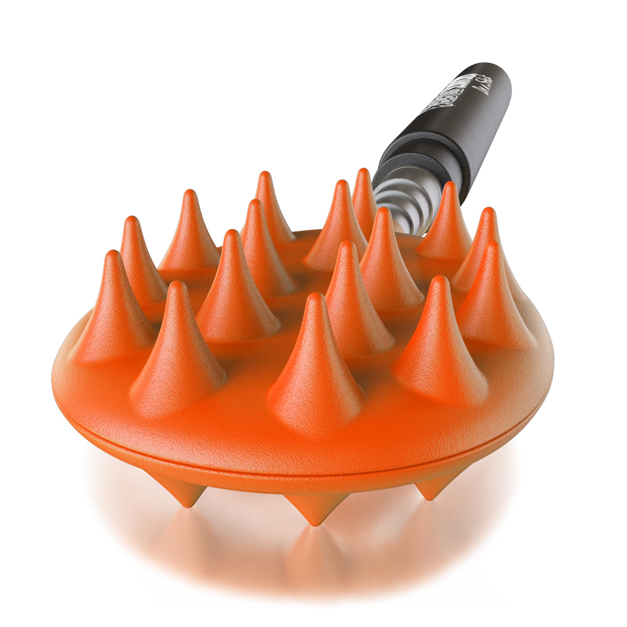 Extendable Cactus Back Scratcher - 24.5