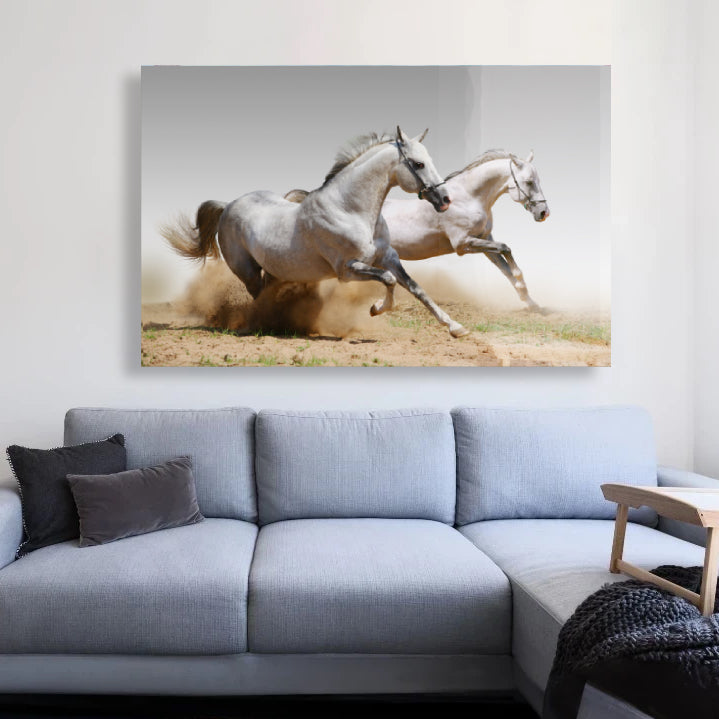 Premium Horse Riding Gear & Equipment for Equestrians - Saddles, Bridles & Accessories | Perfect for Trail Riding, Dressage & Show Jumping