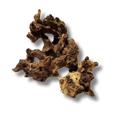 Natural Coral Wood Small Decorative Pieces 10-15cm - Perfect for Home Decor, Aquariums, and DIY Crafts