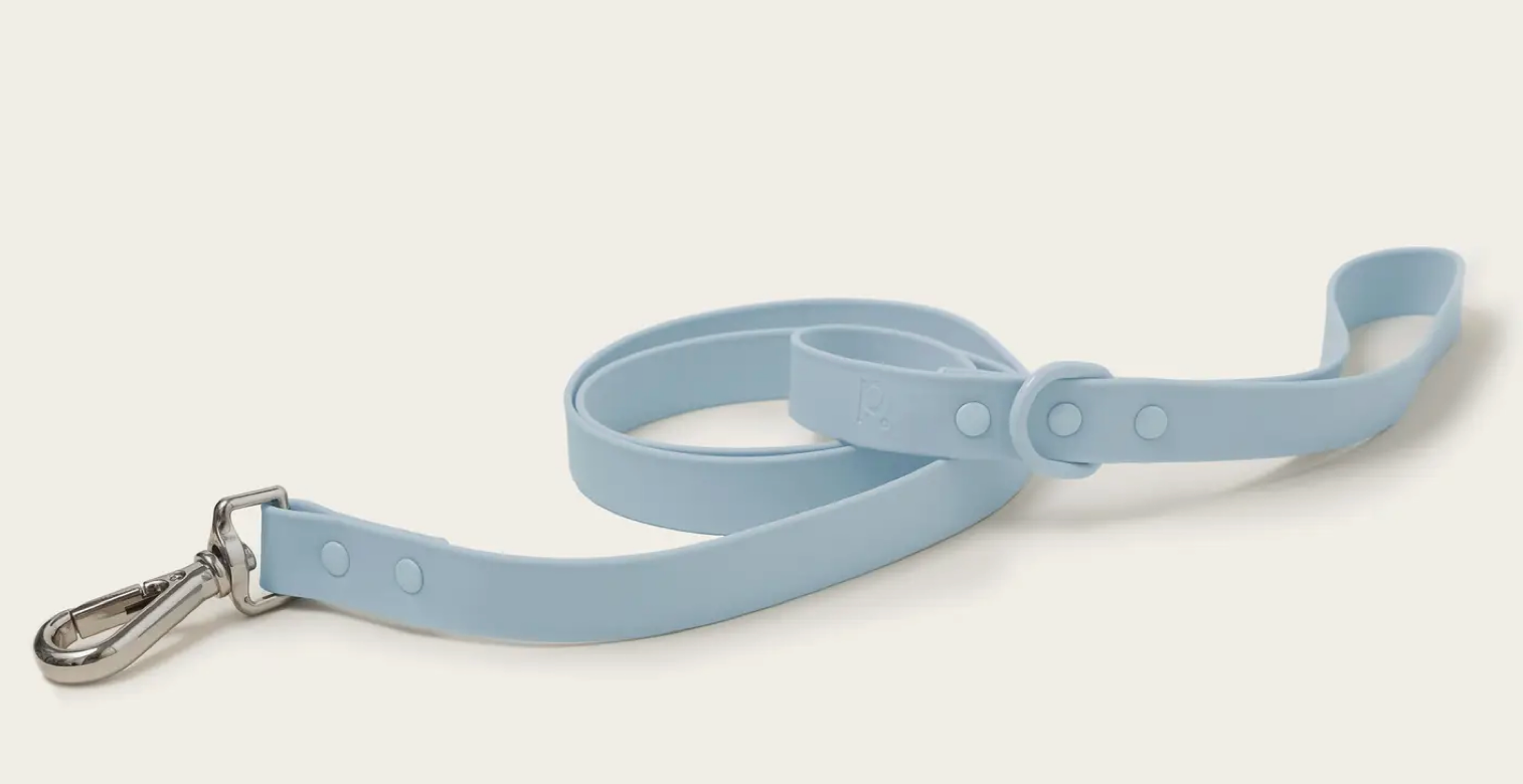 Peachy Dogs Classic 2.0 Dog Leash - Durable Nylon Pet Leash with Comfortable Handle for Small Medium Large Dogs - Perfect for Walking, Training & Outdoor Adventures