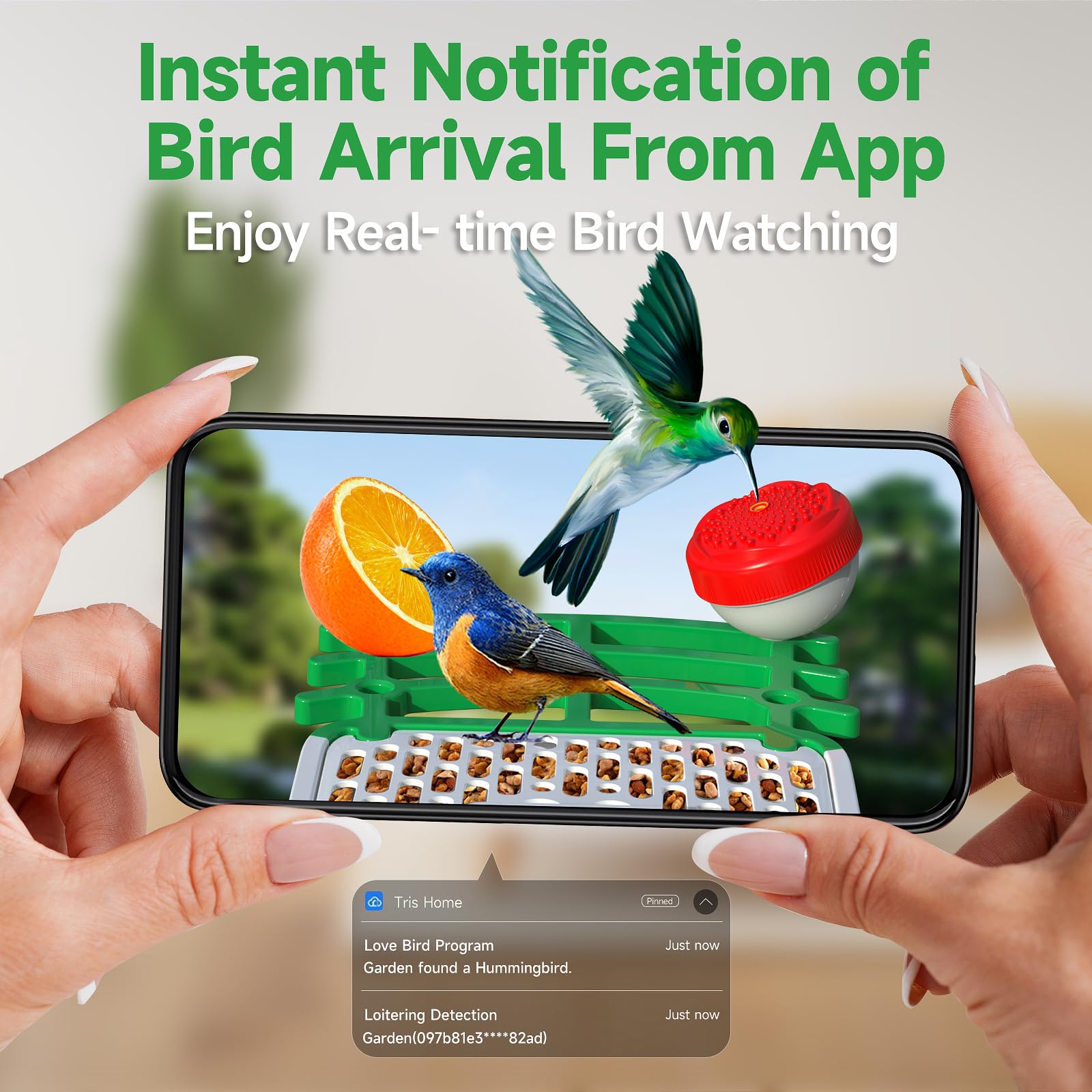 Smart AI Bird Feeder with Camera - Solar Powered Wireless 1080P HD Bird Watching Camera with Auto Recording & Instant Notifications - Perfect for Backyard Bird Watching, Wildlife Monitoring & Nature Enthusiasts