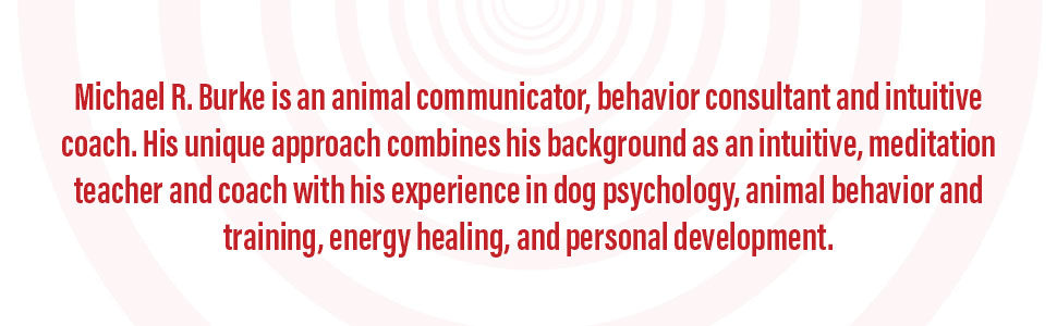 Intuitive Animal Communication Guide - Build a Meaningful Life & Deep Connection with Pets | Animal Whispering Techniques for Pet Owners, Animal Lovers & Spiritual Seekers