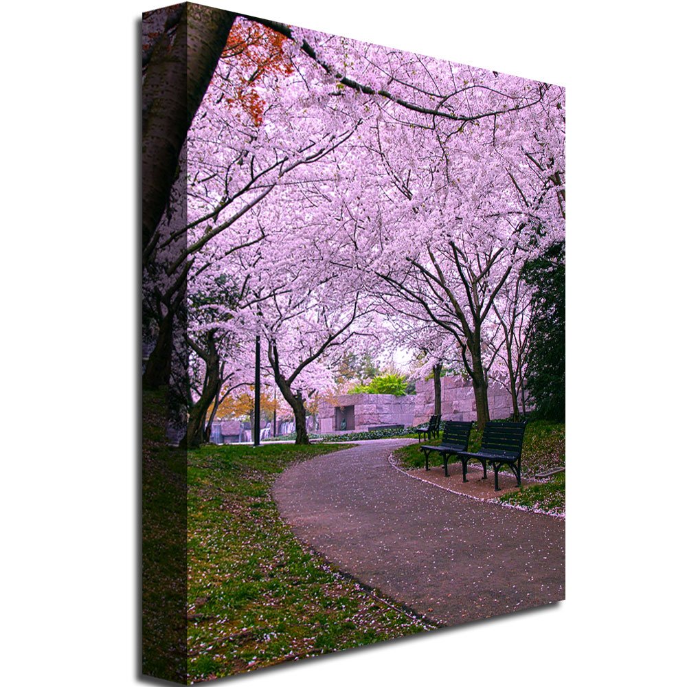Trademark Art Cat Eyes The Hope Canvas Wall Art - 24x32 Inch Modern Home Decor for Living Room, Bedroom & Office