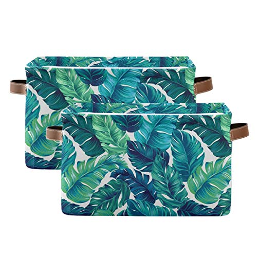Green Tropical Leaves