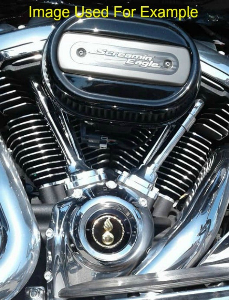 Milwaukee Eight Black M8 Timing Cover Coin Mount - Motorcycle Accessory for Harley Davidson Bikes | Perfect for Customization & Engine Protection