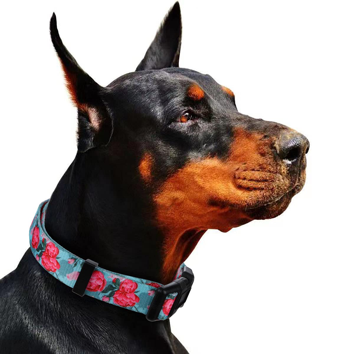 Rhea Rose Floral Print Dog Collar for Girls - Summer Flower Pet Collar, Turquoise, Medium Size | Perfect for Outdoor Walks, Pet Parties & Photo Shoots