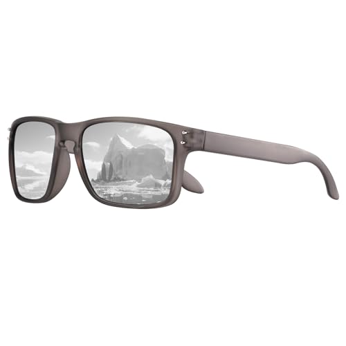 C15-matte Clear Grey Frame Silver