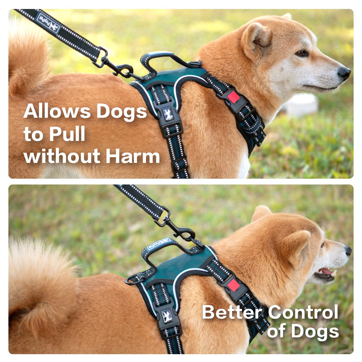 PoyPet No Pull Dog Harness - Front Clip Reflective Vest with Soft Padded Handle & 3 Leash Attachments for Small Medium Large Dogs (Tumalo Teal, S) | Perfect for Walking, Training & Nighttime Safety