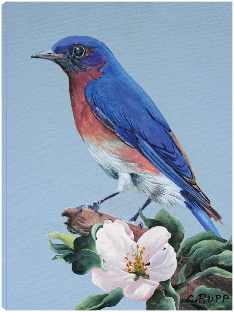 Eastern Bluebird Fine Art Canvas Wall Decor by Artist Carol J Rupp - Ready to Hang 21x28 Inch - Perfect for Living Room, Bedroom, Office & More - Nature Inspired Home Decor for Relaxing Spaces