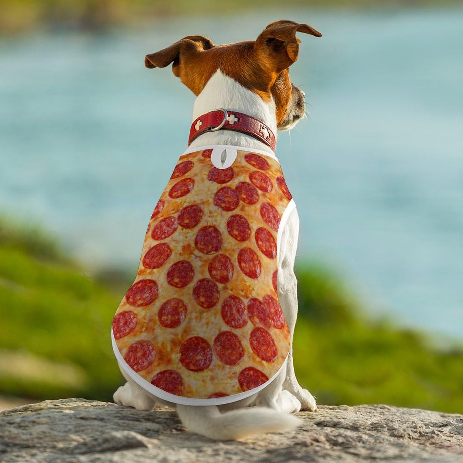 Pepperoni Pizza Pet Clothes for Small Dogs & Cats - Sleeveless Dog Outfit for Playtime