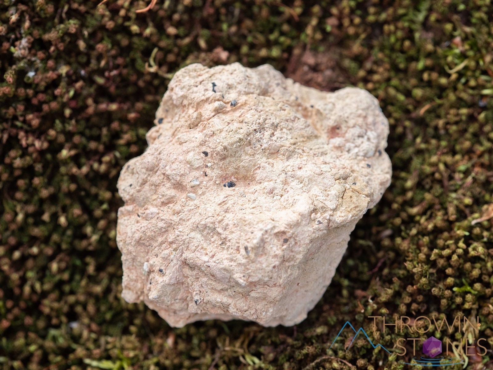 Natural Smoky Quartz Crystal Cluster - Raw Healing Stone for Home Decor, Housewarming Gift & Spiritual Energy (39864) - Perfect for Meditation, Feng Shui & Positive Vibes