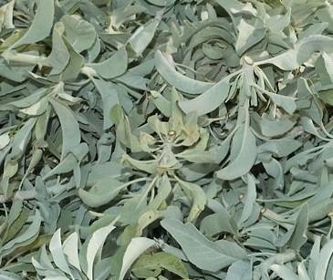 Organic White Sage Smudge Sticks for Cleansing & Meditation – Bulk Herbs for Spiritual Healing, Aromatherapy & Home Purification