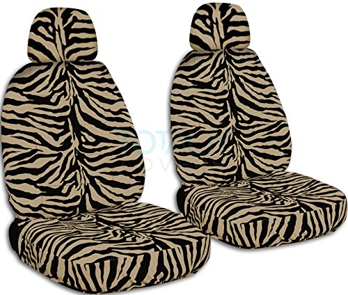 Tan Zebra