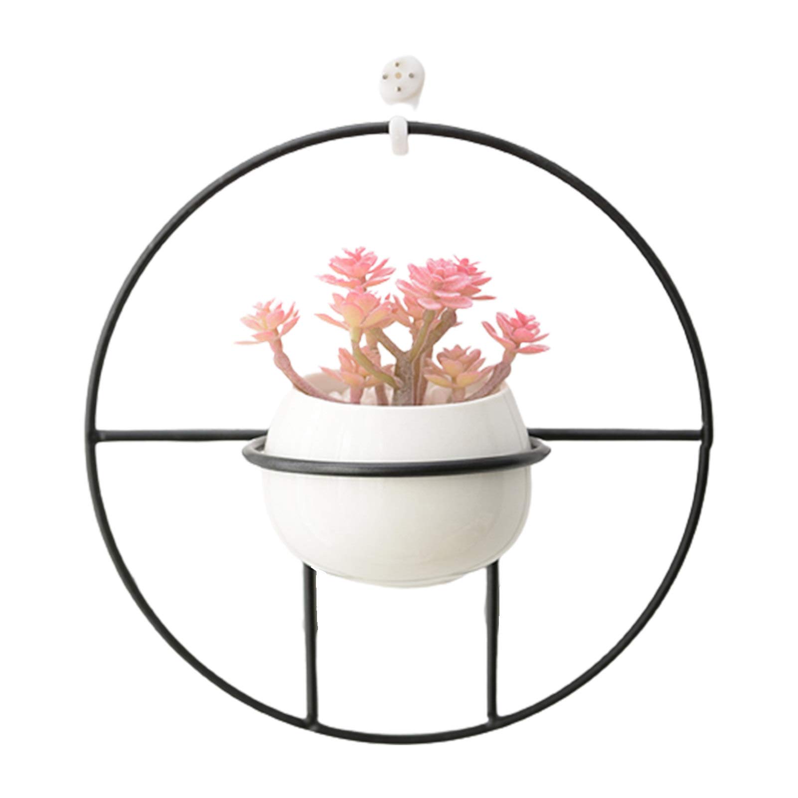 HEVIRGO Hanging Flower Pots for Succulents & Plants - Elegant Wall Mounted Plant Holder with Fine Workmanship for Home & Garden Decor | Perfect for Indoor Hanging Gardens, Balcony Decor, and Vertical Gardening